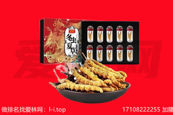 梅州市回收虫草.jpg